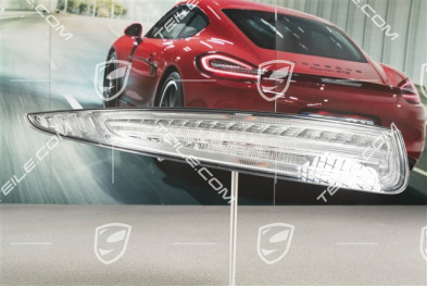 Rear light, in clear glass look (white), rear fog light left, USA, L