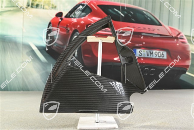21 cali Taycan Exclusive Design blenda / kołpak carbon, przedni, R
