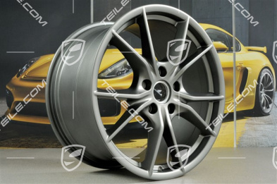 20-inch wheel Carrera S (IV), 11J x 20 ET78, for 991.2 C2/C2S / winter wheels, Platinum satin-mat