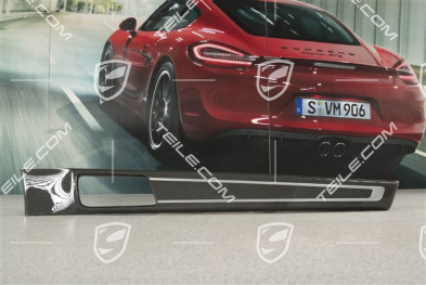 Zierleiste für Vordertür verkleidung Carbon, Hochglanz, R