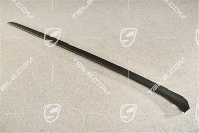 Windshield Water drain strip, A-pillar, black matte, L