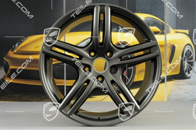20" Felgensatz Panamera Turbo, 9,5J x 20 ET71 + 11,5J x 20 ET68, in Platinum Seidenmatt
