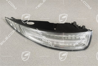 Rear light, in clear glass look (white), rear fog light left, USA, L