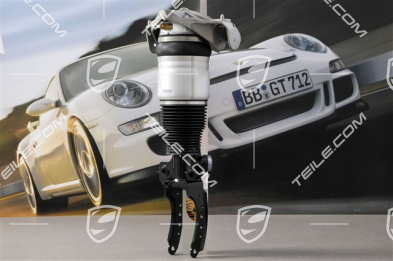 Federbein, pneumatisch, (S V8 4.5L 250KW, Turbo V8 4.5L 330KW), L