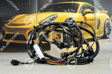Instalacja elektryczna część przednia, (wymaga przeróbek) Xenon, L Instalacja elektryczna część przednia, (wymaga przeróbek) Xenon, L