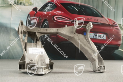 Rear suspension side section / panel, L