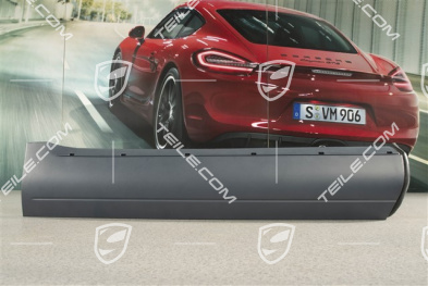 Strip, Rear door, Aluminium Package Black, (With Aerokit with sill cover), R