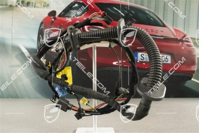 Spyder, Wiązka instalancji elektrycznej drzwi pasażera, L