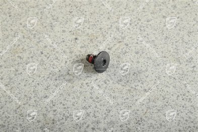 Śruba zamka drzwi z łbem walcowym soczewkowym / torx M8 x 16 Śruba zamka drzwi z łbem walcowym soczewkowym / torx M8 x 16