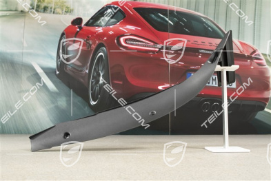 Wing / Fender Rear Cover, Black, R