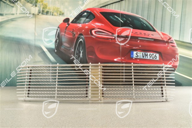 Engine ventilation grille, Silver
