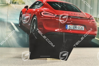 Rear light cover, outer, R
