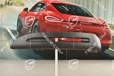 Spyder, Front bumper Position light trim, Satin black, L