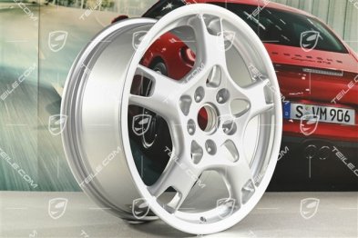 19" Felgensatz Carrera S, 8J x 19 ET57 + 11J x 19 ET67