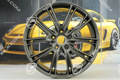21" Felge Panamera Exclusive, 9,5J x 21 ET71, in Platinum-Seidenmatt