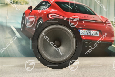 Carrera RS, Głośnik w tapicerce drzwi, L=R