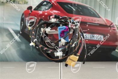 Wiązka elektryczna, Rama montażowa, drzwi kierowcy, L