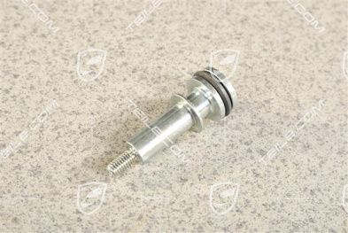 Schraube / Spannblattschraube für Steuerkette Gleitschiene