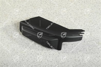 Tail light trim, L