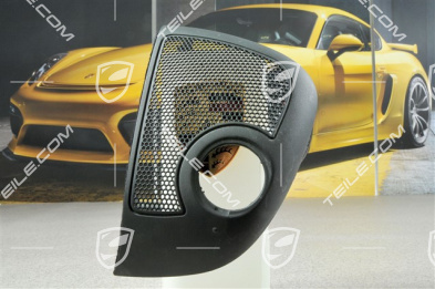 Cover for Hardtop lock, R